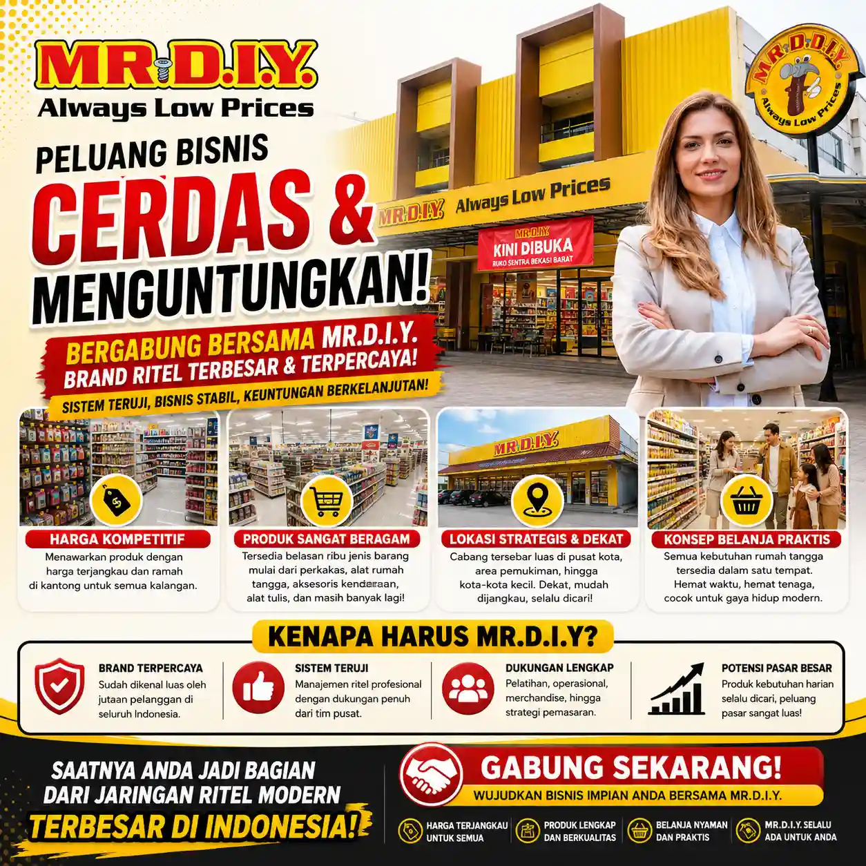 Mr DIY
